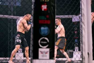 مقاتلان في قفص الأوكتاغون يحاكيان مباراة EA Sports UFC 6