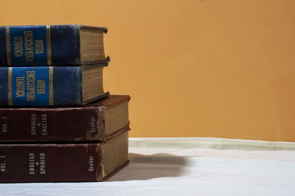 قواميس متعددة اللغات مكدسة للإشارة إلى الترجمة بالذكاء الاصطناعي عبر الأمثلة والسياق
