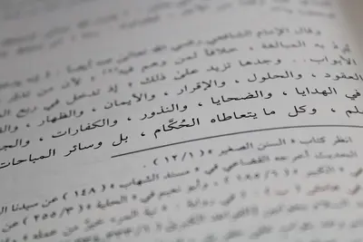 تحويل الصورة إلى نص عربي: صفحة كتاب بخط عربي واضح