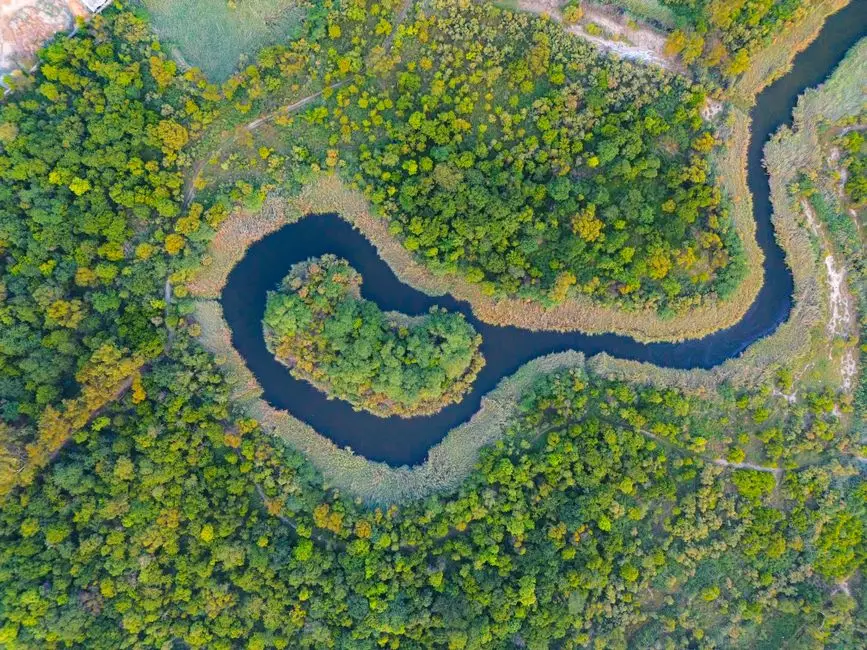تصوير سينمائي احترافي بدرون DJI Mavic 4 Pro لنهر بين الغابات